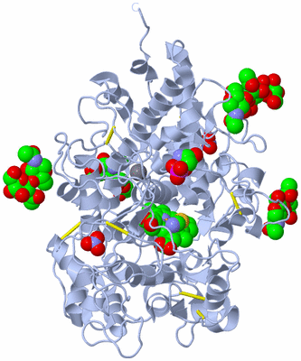 Image Biological Unit 1