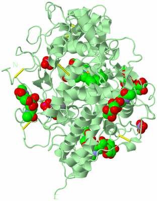 Image Biological Unit 2