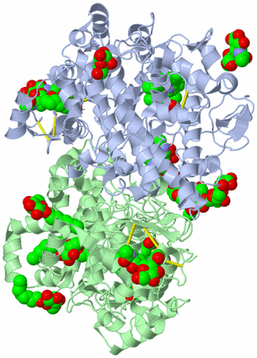 Image Asym./Biol. Unit