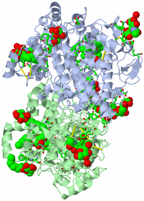 Image Asym./Biol. Unit - sites