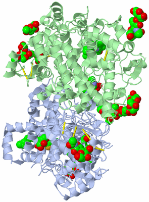 Image Asym./Biol. Unit