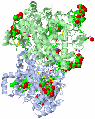 Image Asym./Biol. Unit - sites