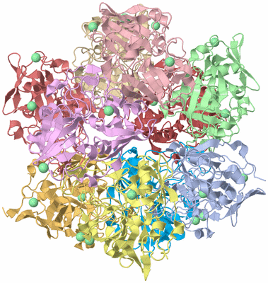 Image Biological Unit 1