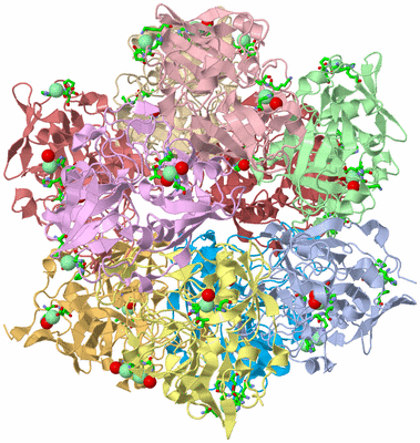 Image Biol. Unit 1 - sites