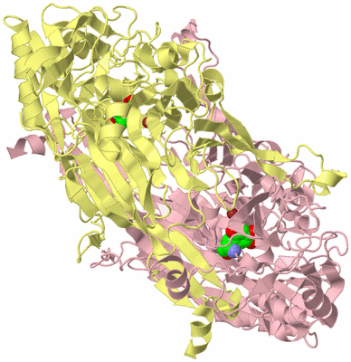 Image Biological Unit 2