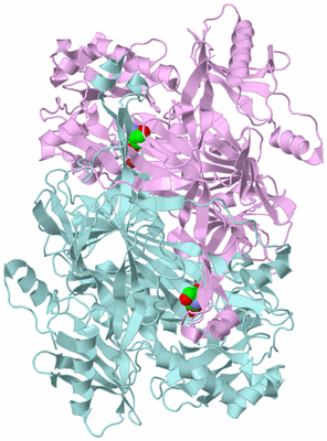 Image Biological Unit 3