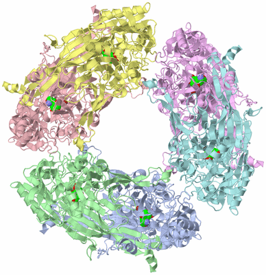 Image Biological Unit 4