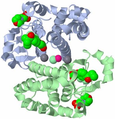 Image Asym./Biol. Unit