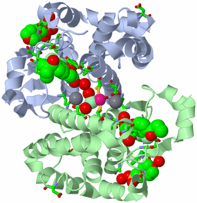 Image Asym./Biol. Unit - sites