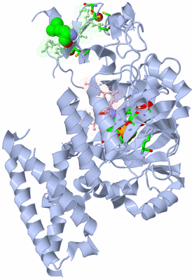 Image Asym./Biol. Unit - sites