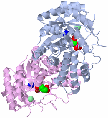 Image Biological Unit 1