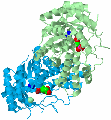 Image Biological Unit 2