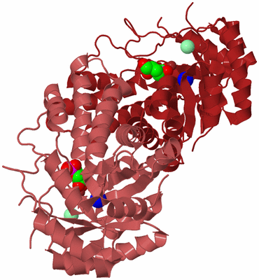 Image Biological Unit 3