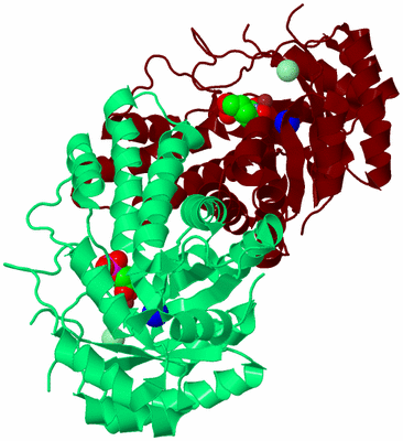 Image Biological Unit 4