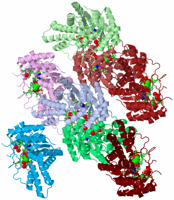 Image Asym. Unit - sites