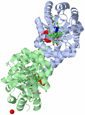 Image Asym./Biol. Unit - sites