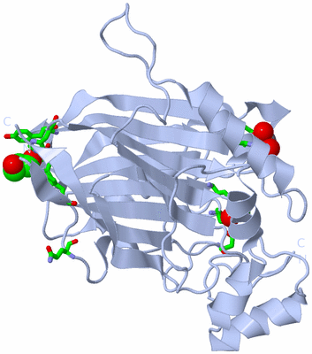 Image Biol. Unit 1 - sites