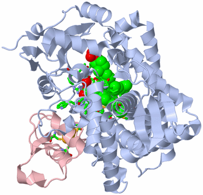 Image Biol. Unit 1 - sites