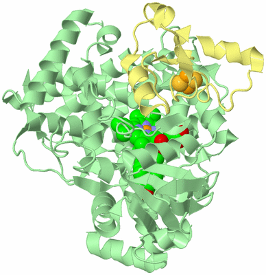 Image Biological Unit 2