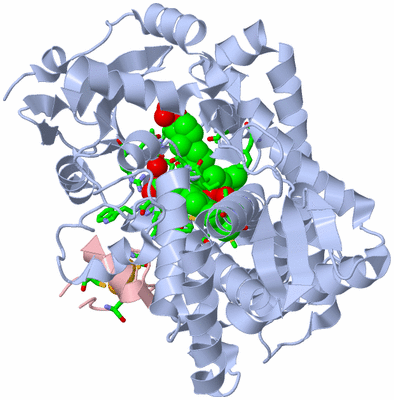 Image Biol. Unit 1 - sites