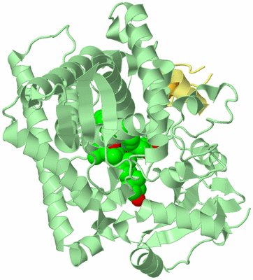 Image Biological Unit 2