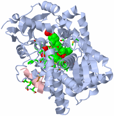 Image Biol. Unit 1 - sites