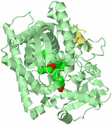 Image Biological Unit 2