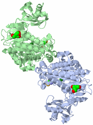 Image Asym./Biol. Unit