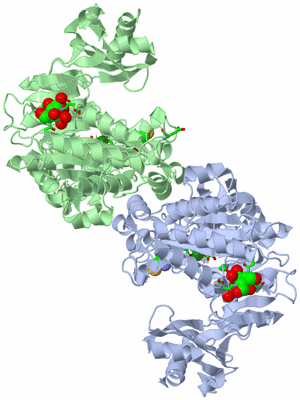 Image Asym./Biol. Unit - sites