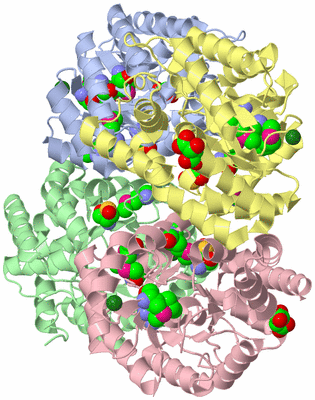 Image Asym./Biol. Unit