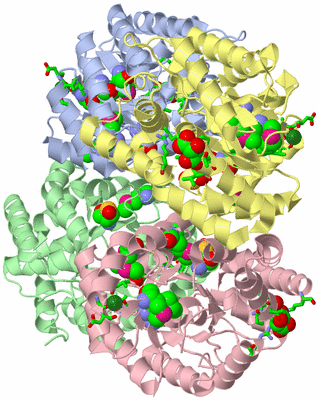 Image Asym./Biol. Unit - sites