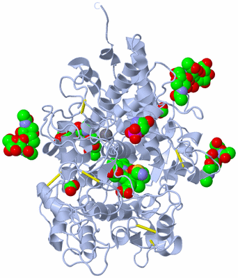 Image Biological Unit 1