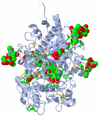 Image Biol. Unit 1 - sites