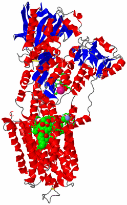 Image Asym./Biol. Unit - sites