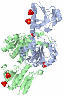 Image Asym./Biol. Unit