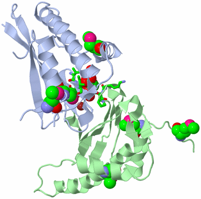 Image Asym./Biol. Unit - sites