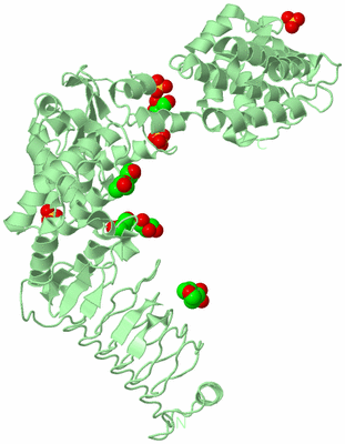 Image Biological Unit 2