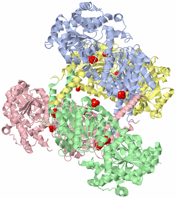 Image Asym./Biol. Unit