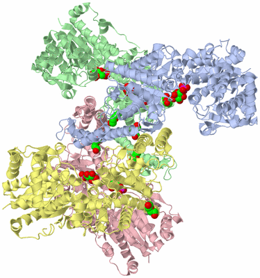 Image Asym./Biol. Unit