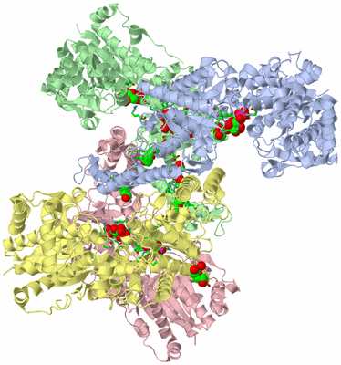 Image Asym./Biol. Unit - sites