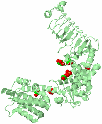 Image Biological Unit 2