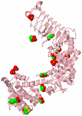 Image Biological Unit 3