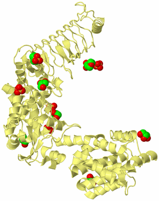 Image Biological Unit 4