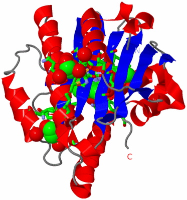 Image Asym./Biol. Unit - sites