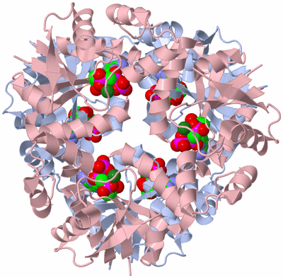 Image Biological Unit 1