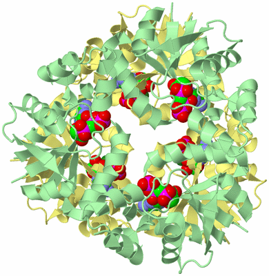 Image Biological Unit 2