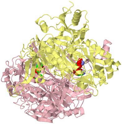 Image Biological Unit 2