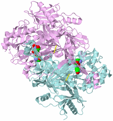 Image Biological Unit 3