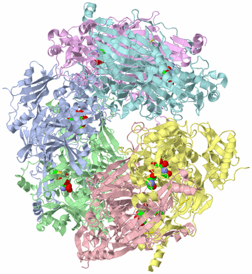 Image Biological Unit 4