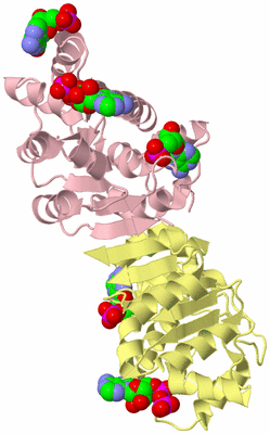 Image Biological Unit 2